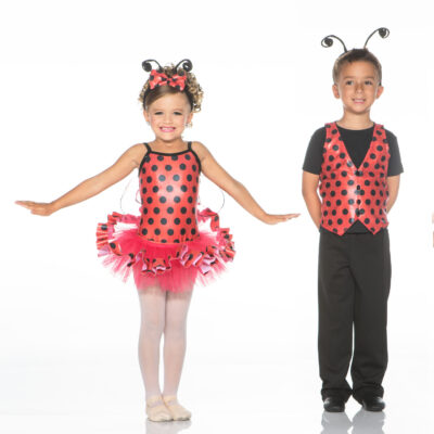 Ladybug Picnic